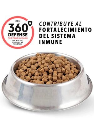 RINGO +PRO CACHORROS