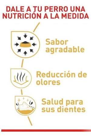 ROYAL CANIN CHIHUAHUA ADULTO