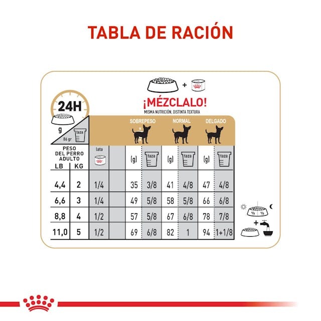 ROYAL CANIN CHIHUAHUA ADULTO