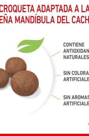 ROYAL CANIN MEDIUM PUPPY