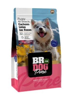 BR DOG PURE LAMB PUPPY