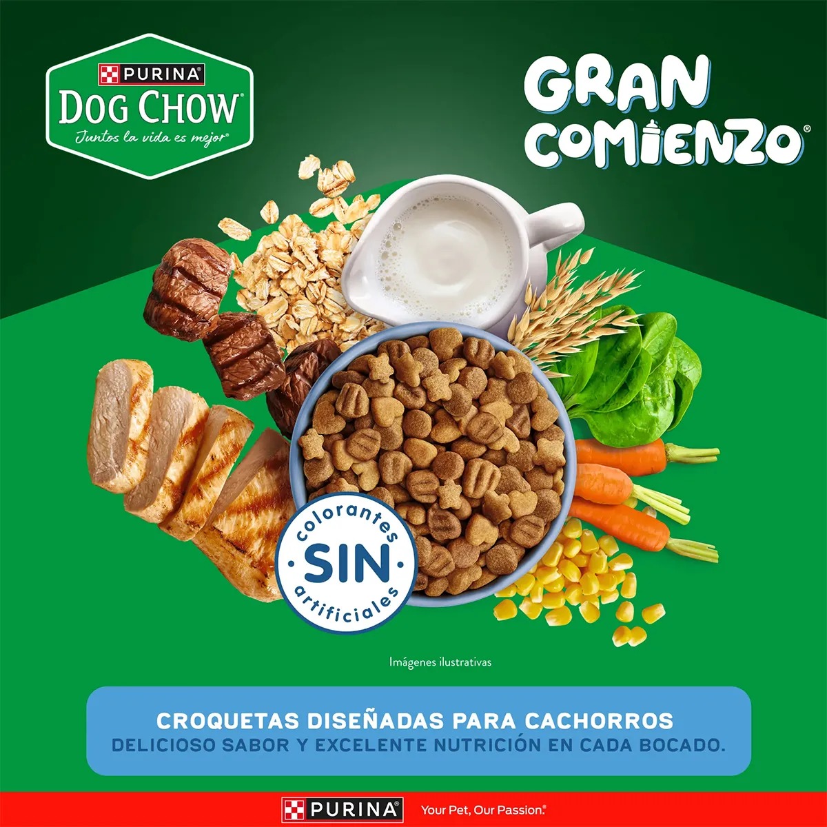 DOG CHOW CACHORRO RAZA MEDIANA GRANDE GRAN COMIENZO