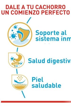 ROYAL CANIN BULLDOG FRANCES PUPPY