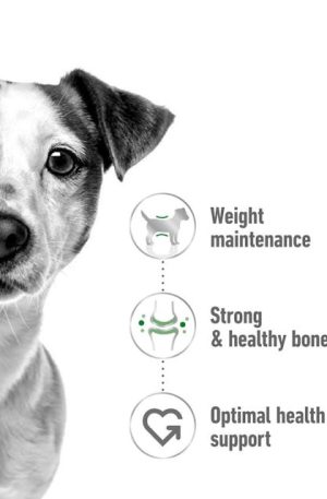 ROYAL CANIN MINI ADULTO