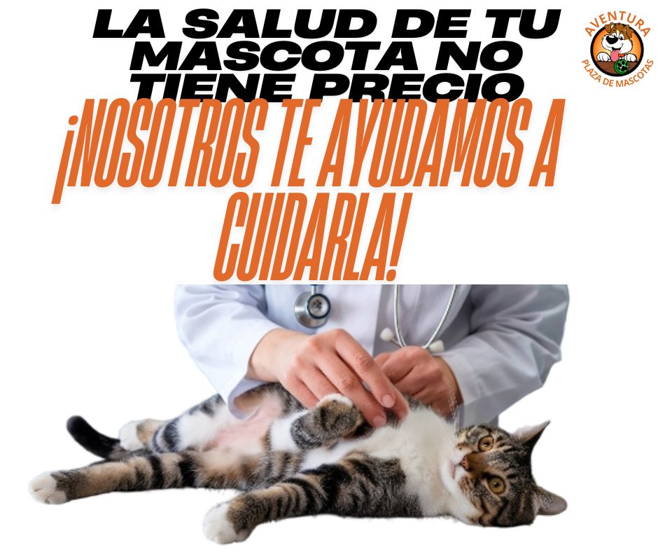 1234-5678 @sitioincreible