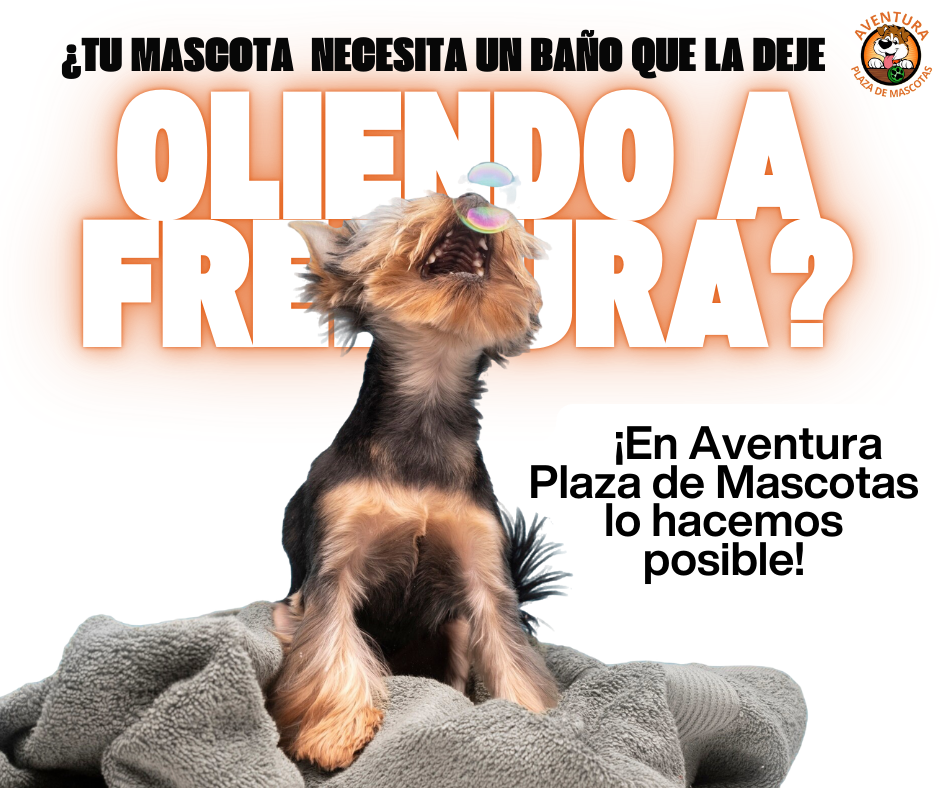 1234-5678 @sitioincreible