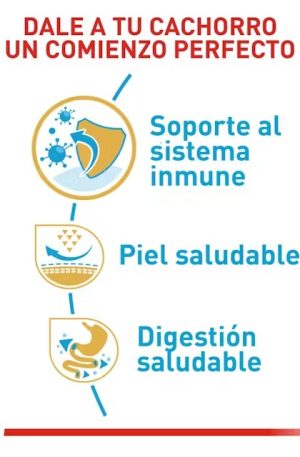 ROYAL CANIN PUG PUPPY