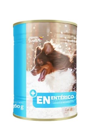 AGILITY GOLD ENTERICO DOG LATA