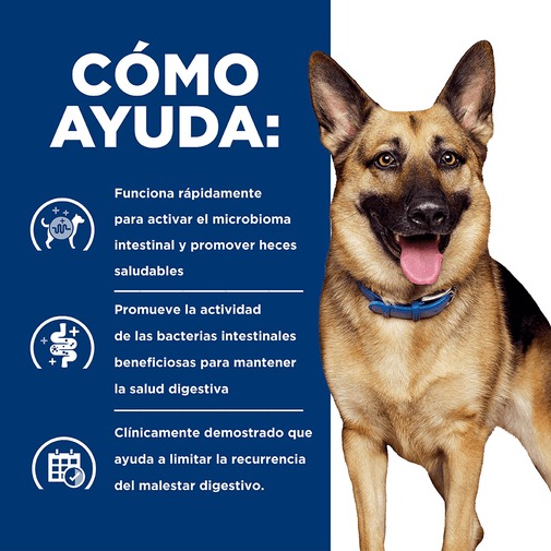 Comida para Perros Hills Gastro Biome