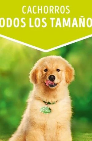 DOG CHOW CACHORROS POUCH POLLO (2)