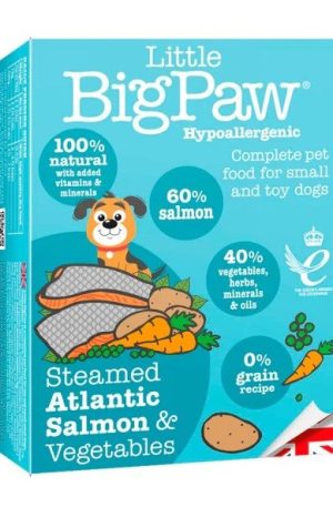LITTLE BIG PAW DOG SALMON & VEGETALES