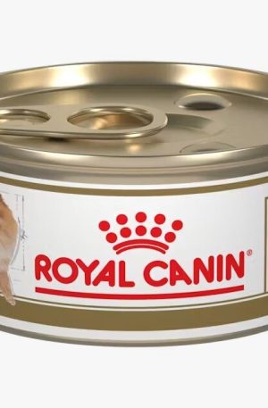 Royal Canin Pomeranian Lata