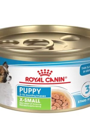 X-Small Cachorro Lata