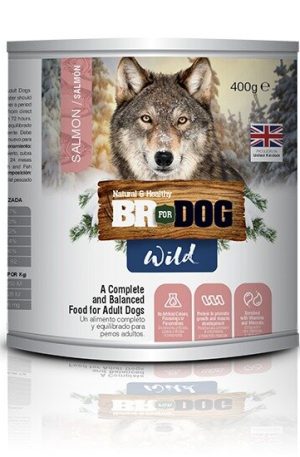 Br For Dog Wild sabor a Salmón Lata