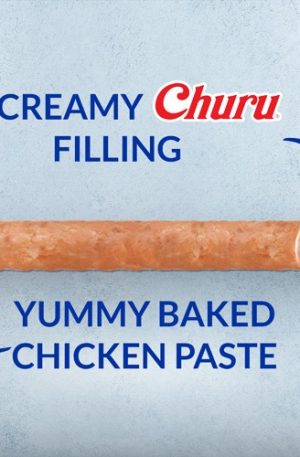 WhatsApp Image 2025-04-03 at 9.45.40 PM