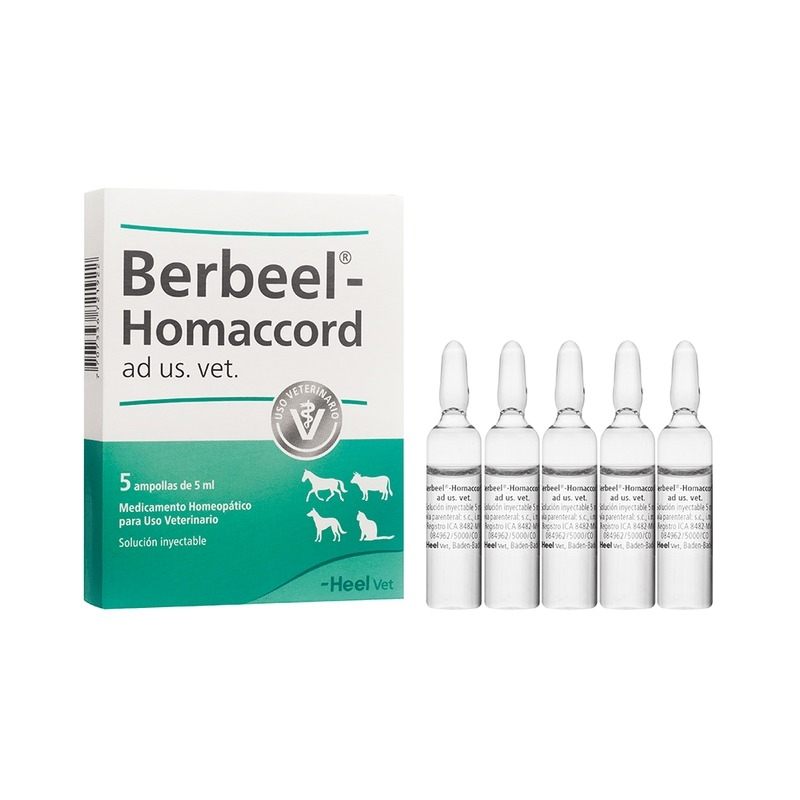 Berbeel