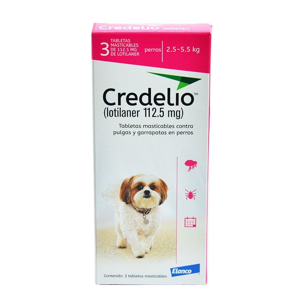Credelio dog