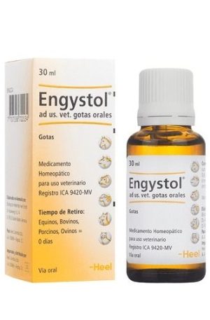 Engystol Ad Us Vet