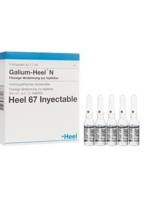 GALIUM HEEL N AMPOLLAS