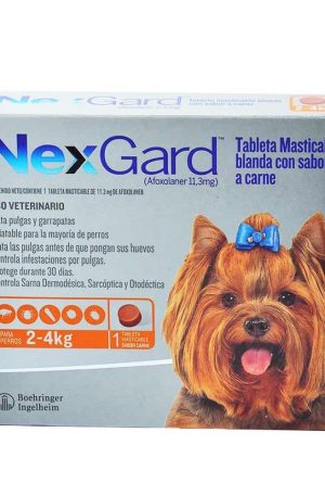 NexGard Antipulgas