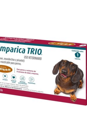 Trio Perros