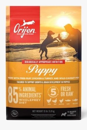 orijen puppy
