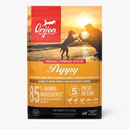 orijen puppy