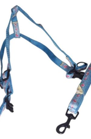 Arnés con Correa Arnés con Correa