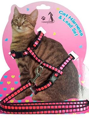 Arneses para gatos
