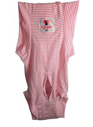 Body Postquirúrgico (2)