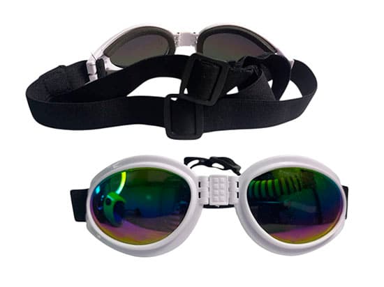 Gafas para perro