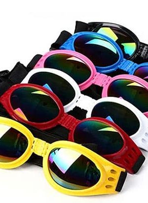 gafas para perro (8)