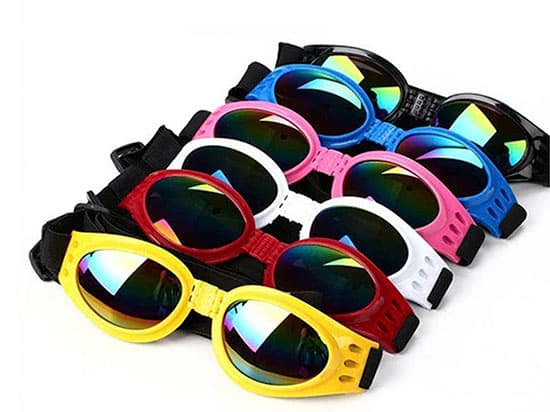 Gafas de Sol para Perros "DogVision Pro" - Imagen 2