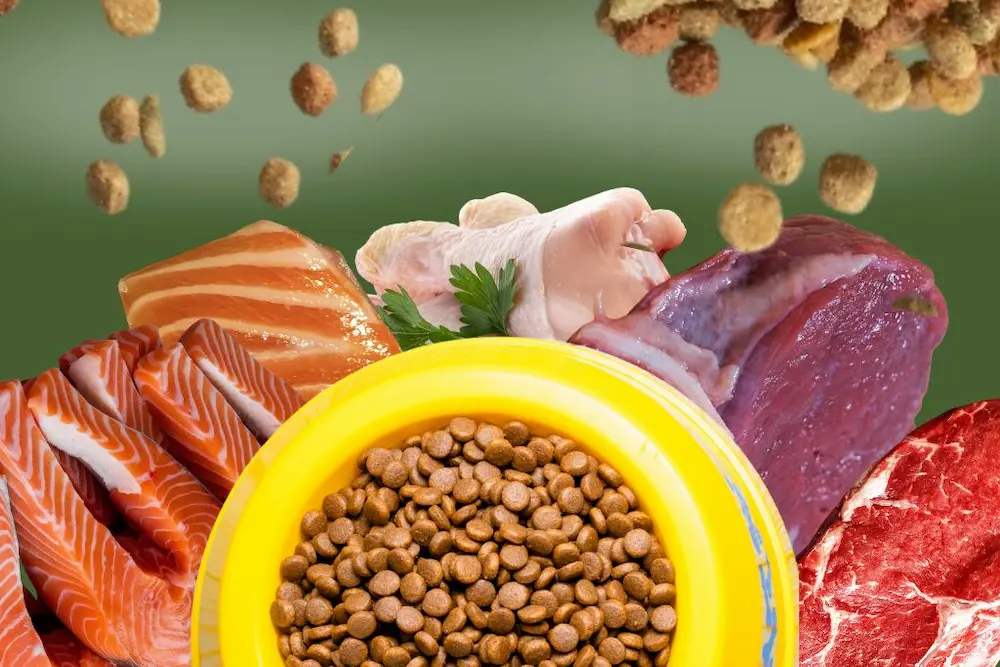 ALIMENTO SECO PERROS