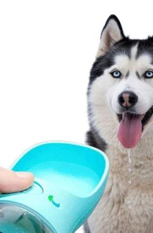 Botella Portátil de Agua para Mascotas (6)