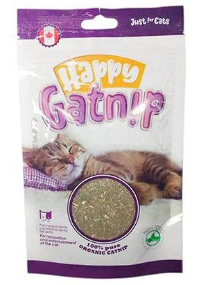 Catnip orgánico para gatos