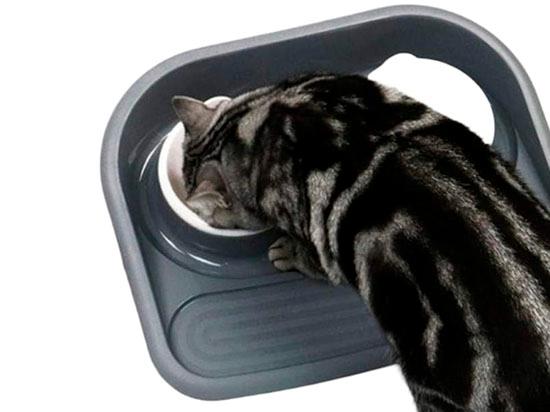 Comedero Doble Antiderrame con Base Elevada - Imagen 4