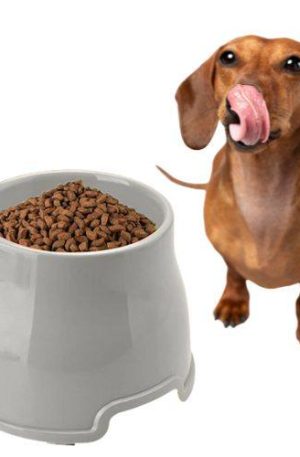 Comedero elevado Comedero elevado