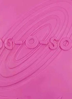 Frisbee Multicolor para perro