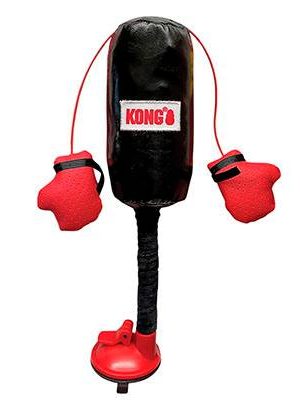 Interactivo para Gatos KONG