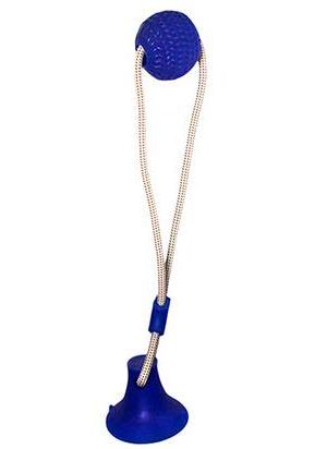 Juguete interactivo para perro