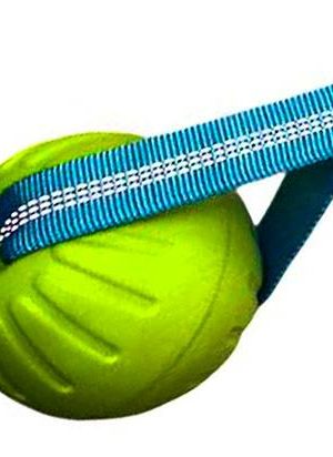 Pelota con cuerda elástica para perros (7)