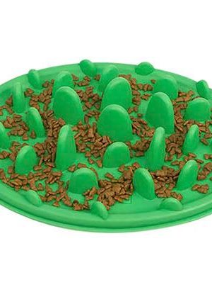 Plato interactivo antivoracidad (3)