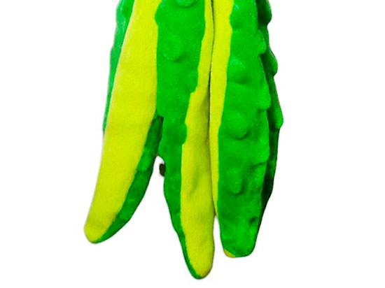 Pulpo Divertido con Chillido para perros