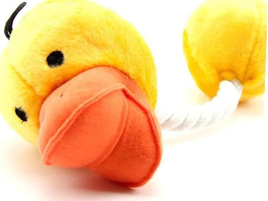 juguete interactivo para perro