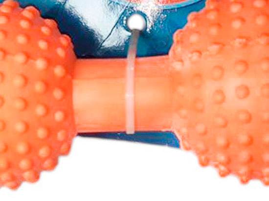 limpieza dental para perro