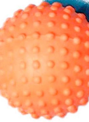 limpieza dental para perro