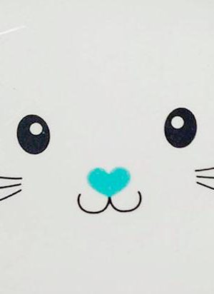 plato para gato plato para gato