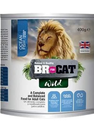 BR for Cat Wild Ocean Fish