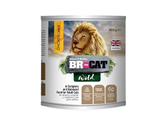 BR for Cat Wild Pollo